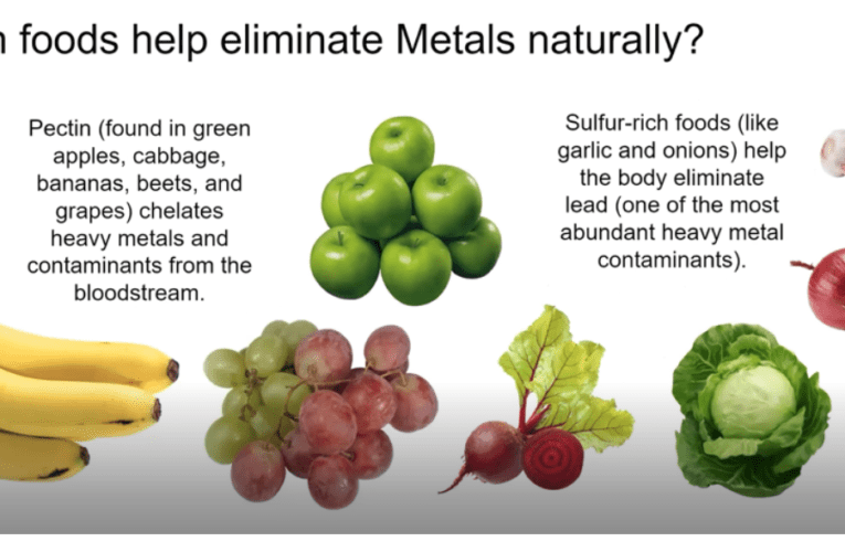 Eliminate Heavy Metals Naturally in Tampa